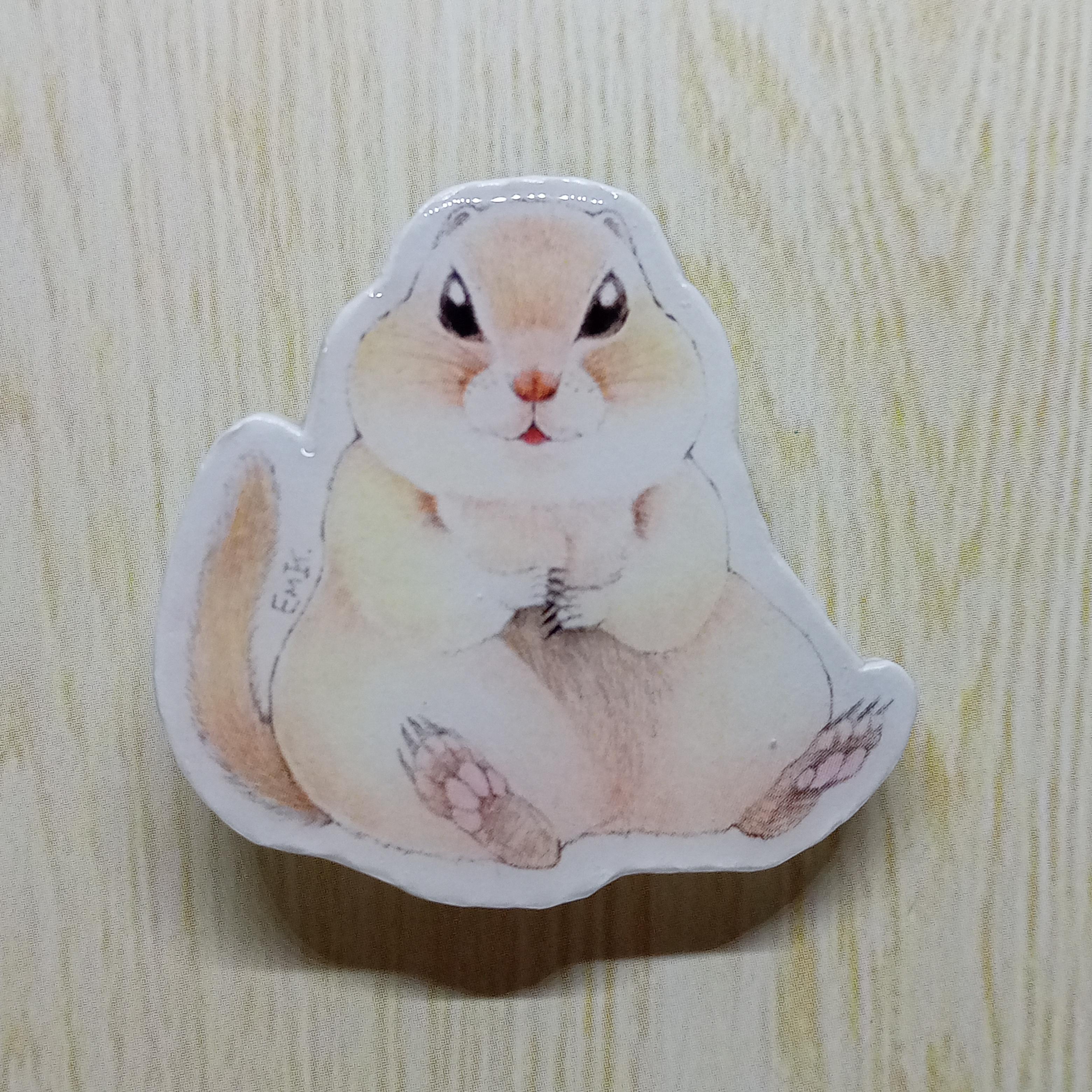 紙製！どうぶつブローチ【リチャードソンジリス】